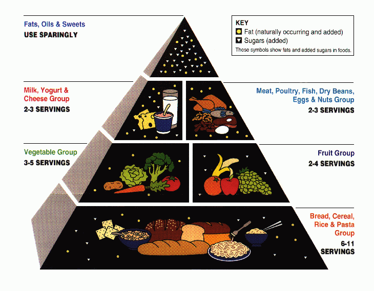 USDA Food Pyramid