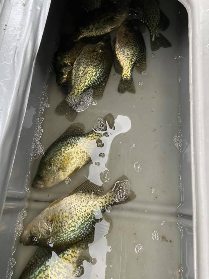 crappies caught on west two rivers mn