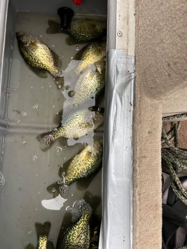 fish we caught on west two rivers minnesota