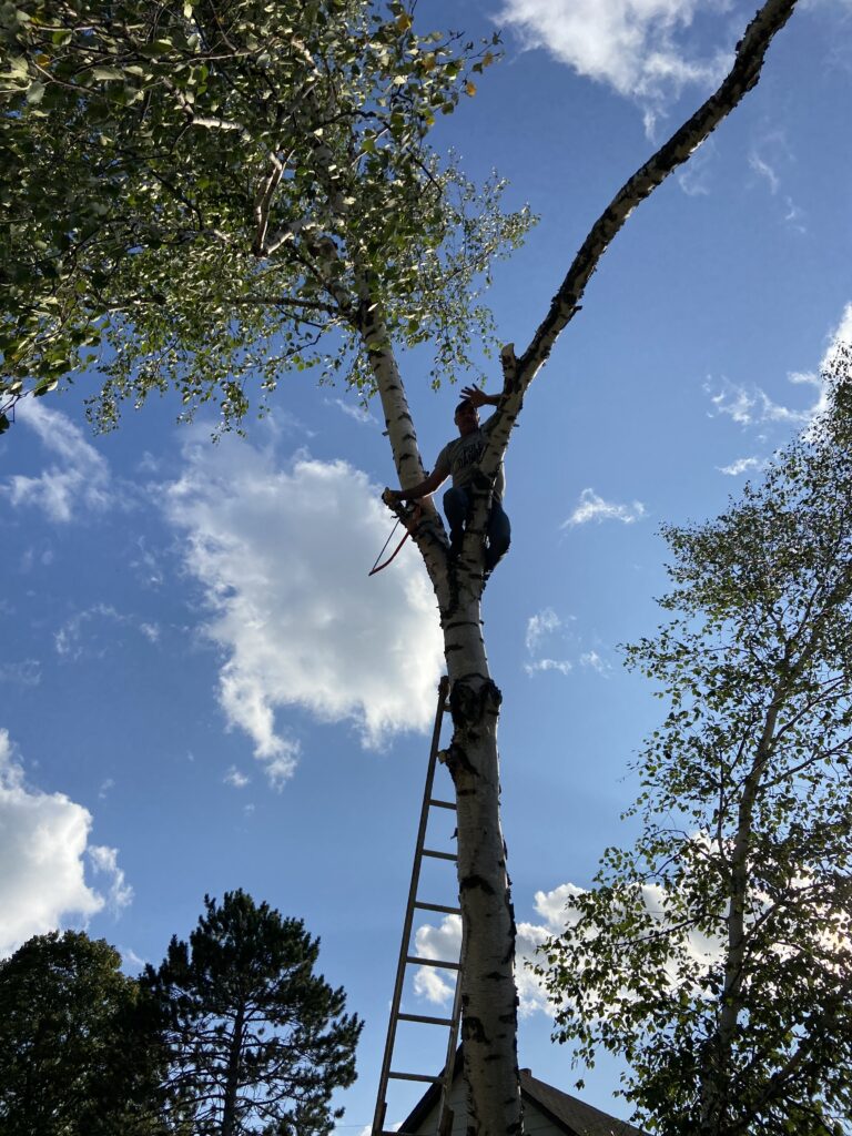 Justin Sparby posing for the camera while cutting down a birch tree