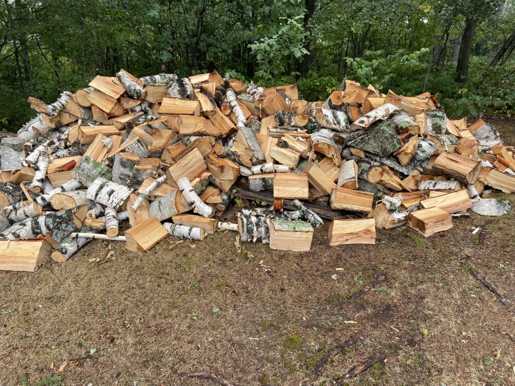 pile of wood after cutting up only 3 of the trees